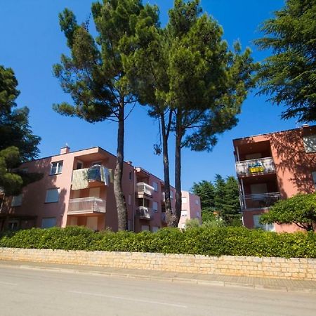 Roza Apartment Novigrad  Luaran gambar